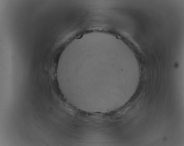 X0000094211399200711241650