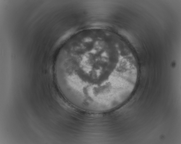 X0000094211403200711241650