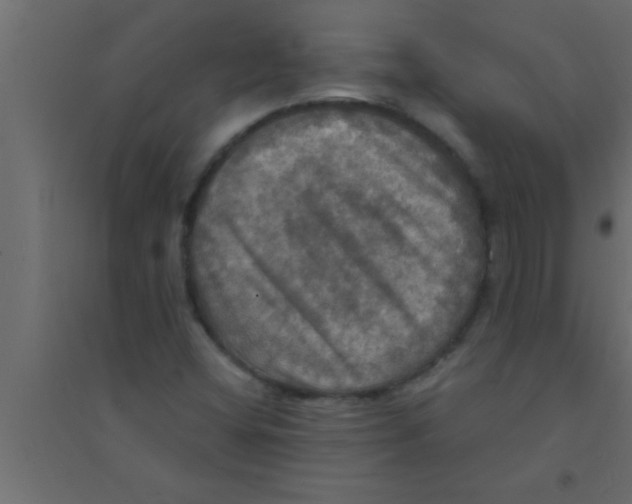X0000094211404200711241650