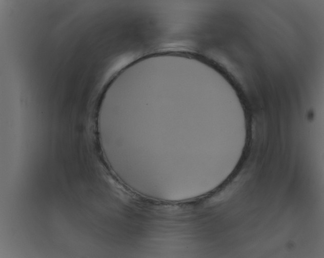 X0000094211405200711241650