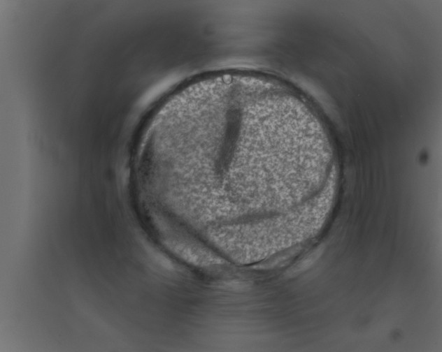 X0000094211406200711241650