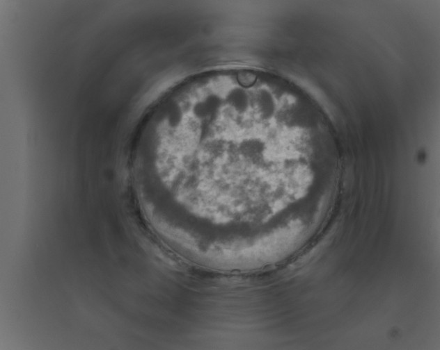 X0000094211407200711241650