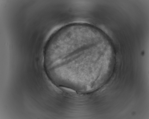 X0000094211408200711241650