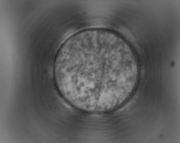 X0000094211409200711241650