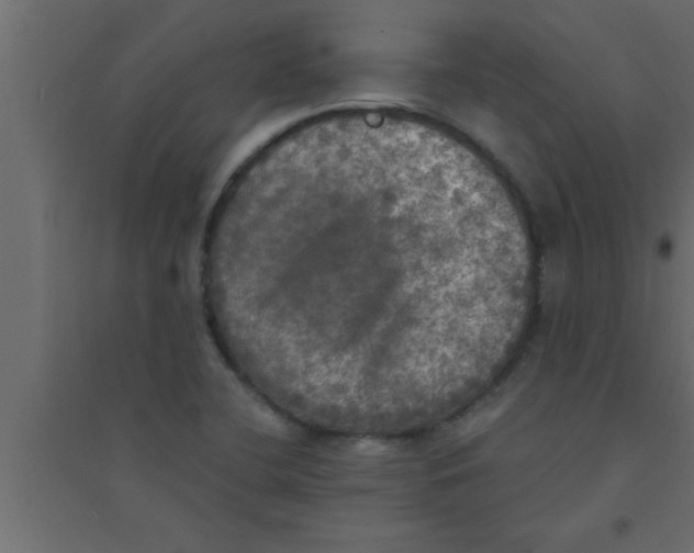 X0000094211412200711241650