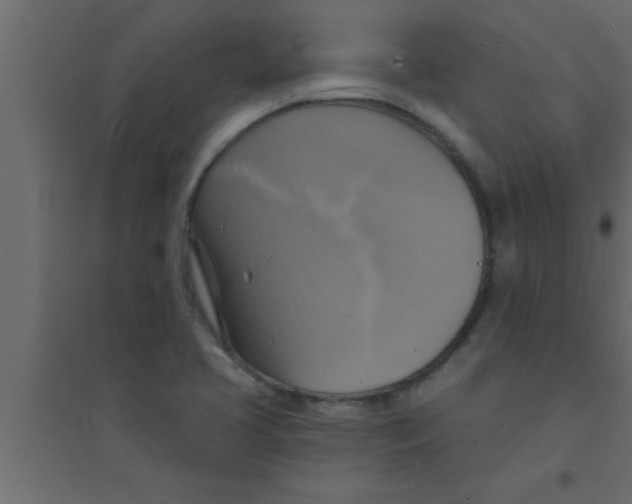 X0000094211413200711241650