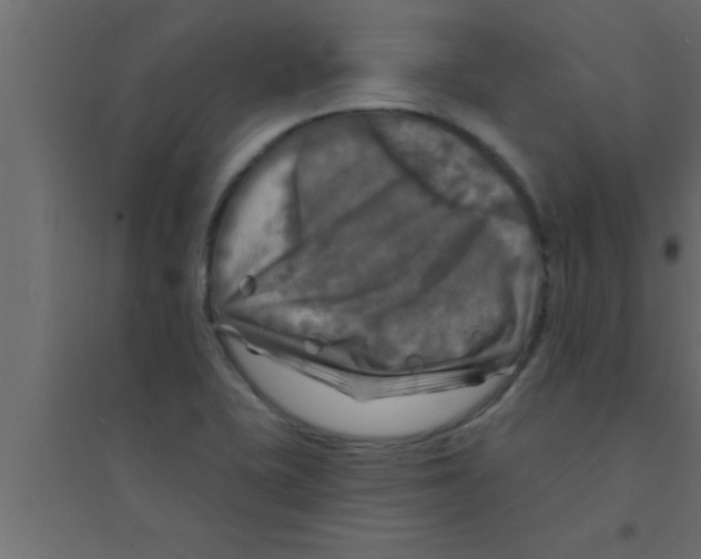 X0000094211415200711241650