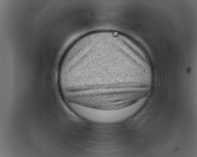 X0000094211416200711241650