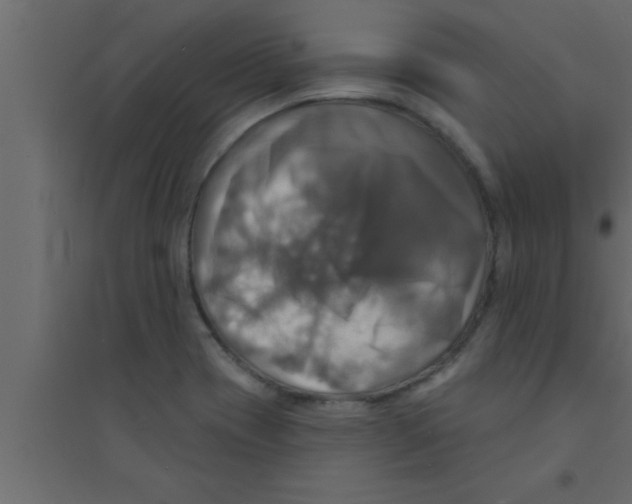 X0000094211417200711241650