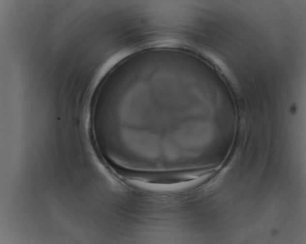 X0000094211418200711241650
