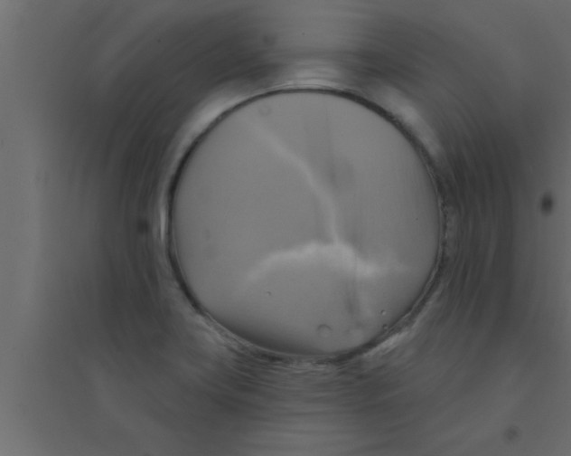 X0000094211419200711241650
