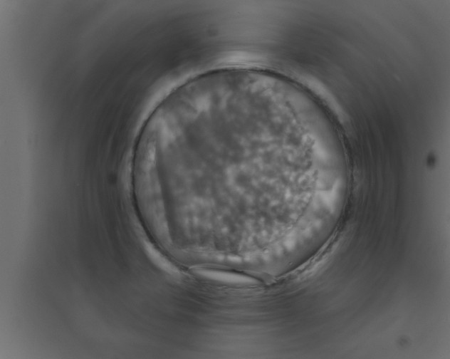 X0000094211421200711241650