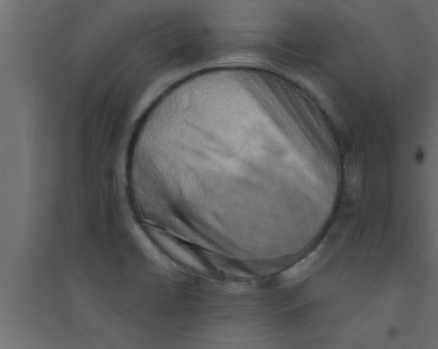 X0000094211422200711241650