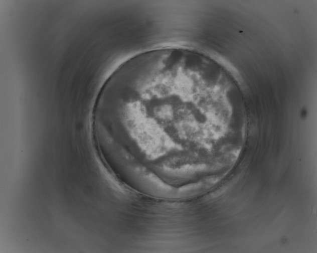 X0000094211423200711241650