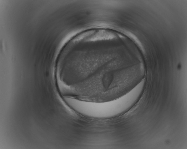 X0000094211424200711241650