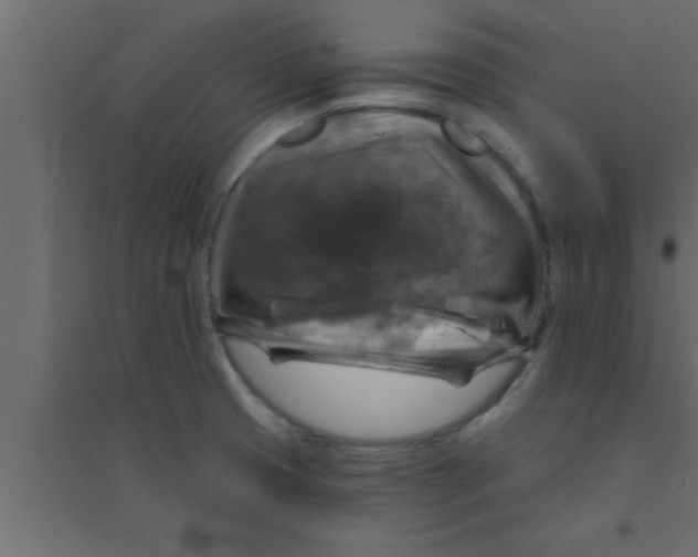 X0000094211425200711241650