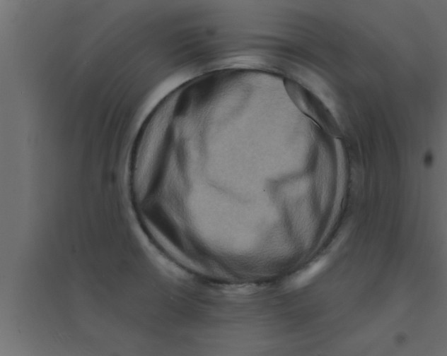 X0000094211426200711241650