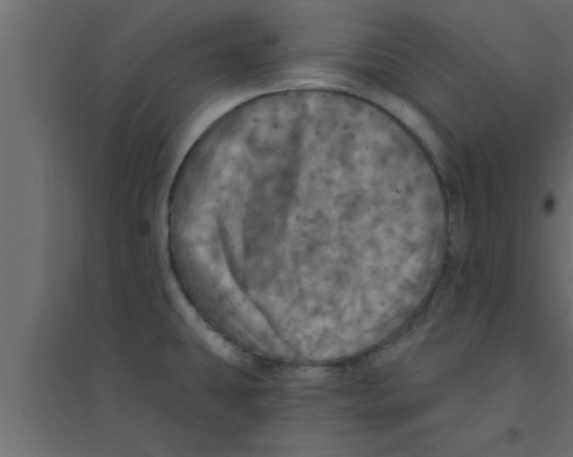X0000094211431200711241650