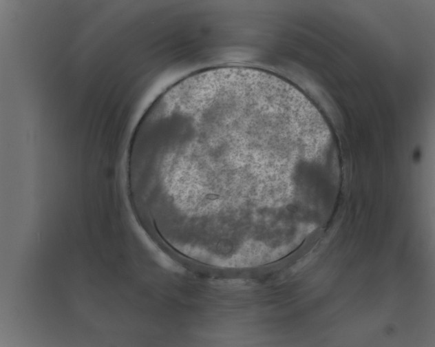X0000094211432200711241650