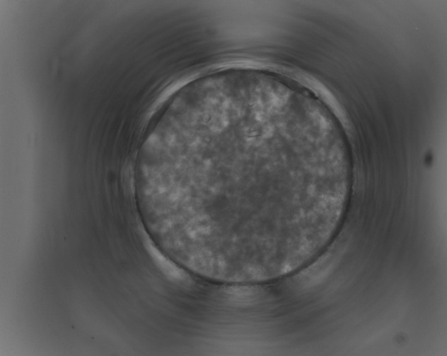X0000094211433200711241650