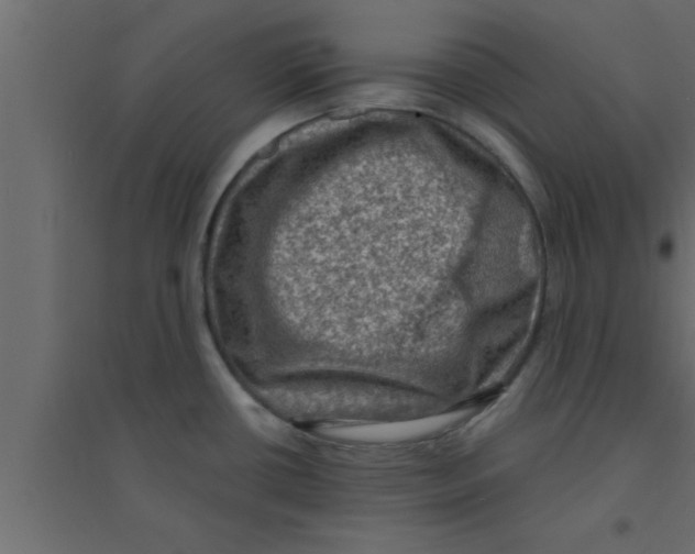 X0000094211434200711241650