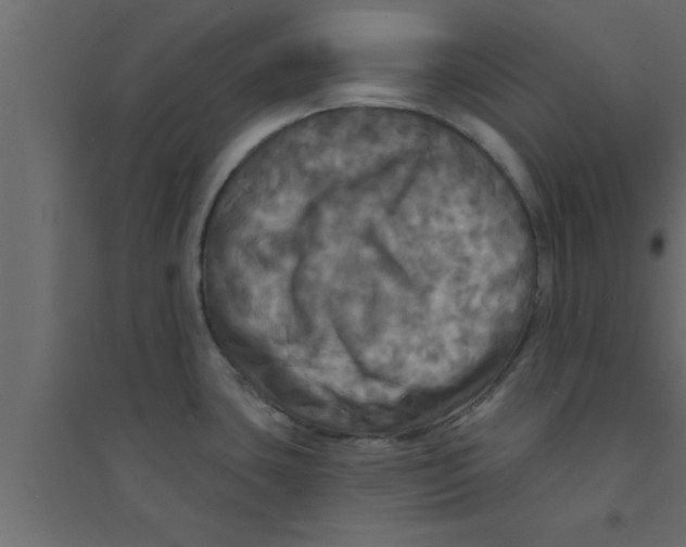X0000094211435200711241650
