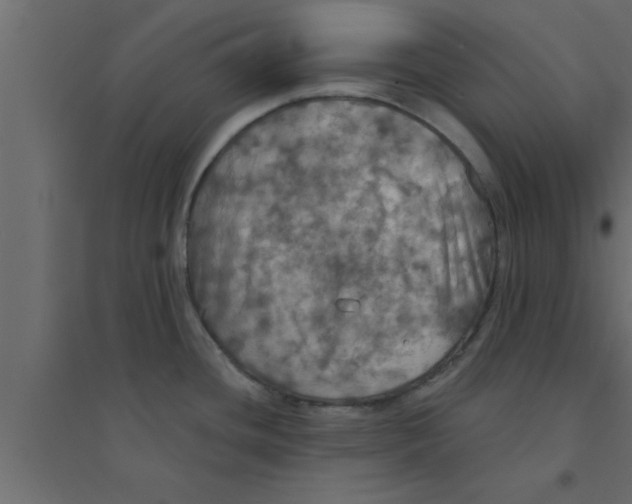 X0000094211436200711241650