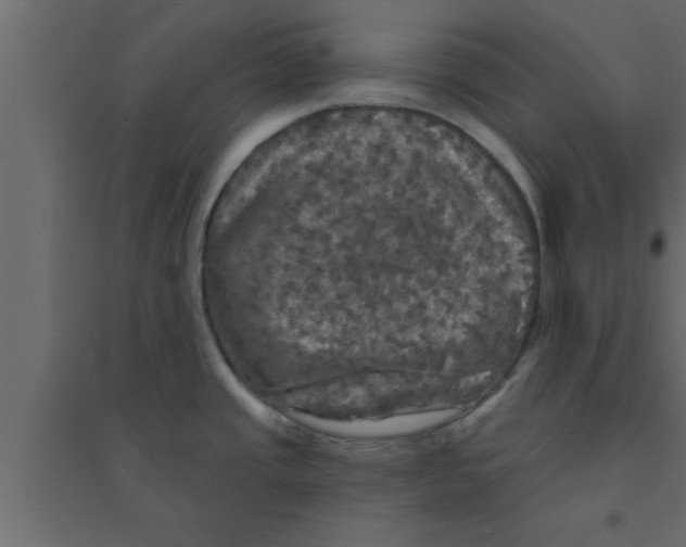 X0000094211437200711241650