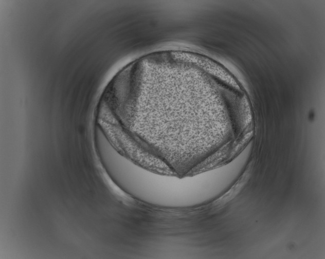 X0000094211438200711241650