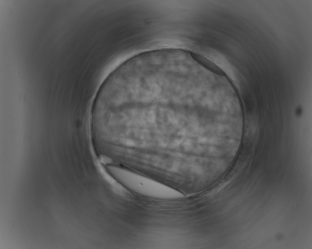 X0000094211439200711241650