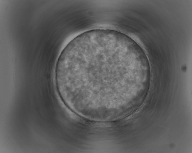 X0000094211440200711241650