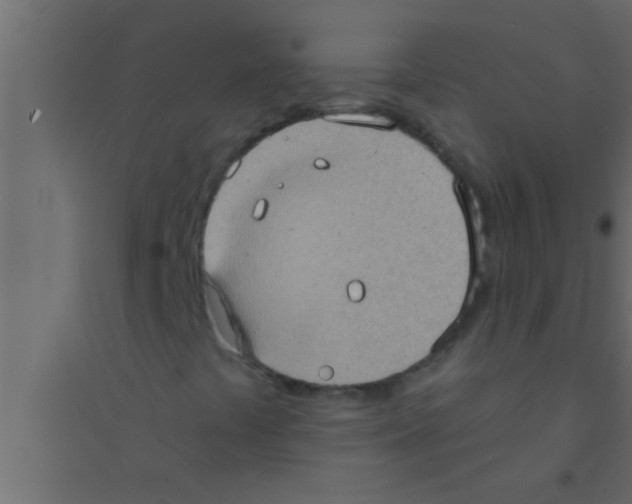 X0000094211441200711241649