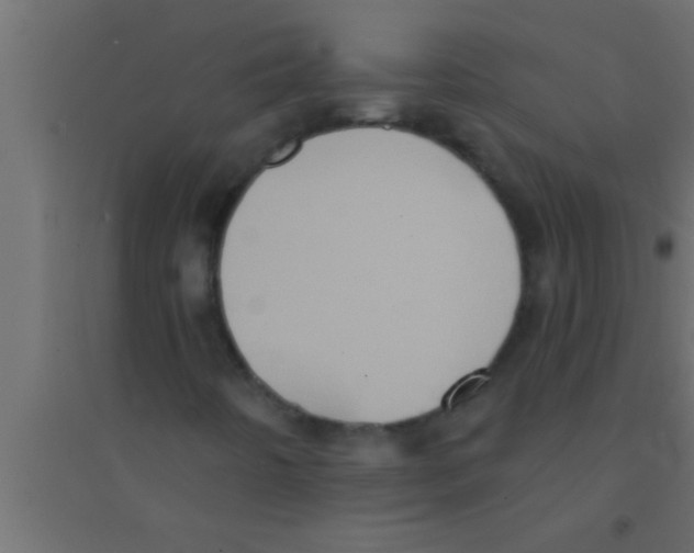 X0000094211442200711241649