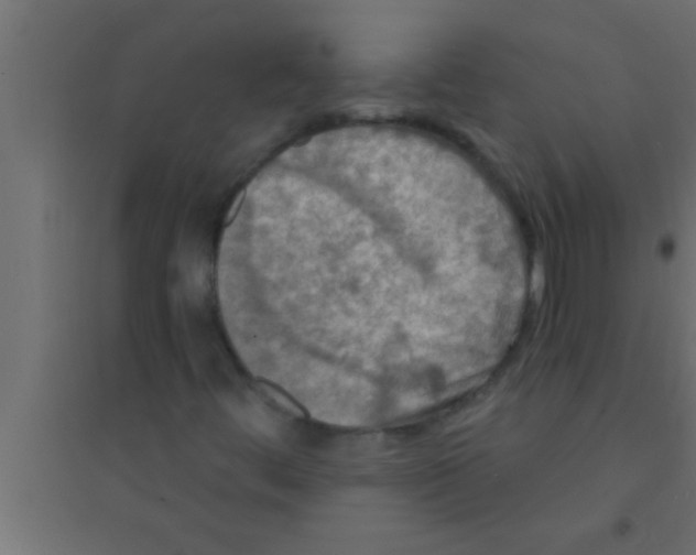 X0000094211444200711241649