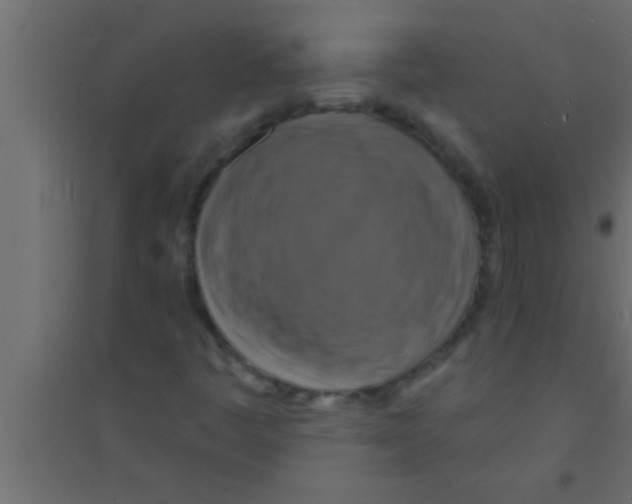 X0000094211445200711241649