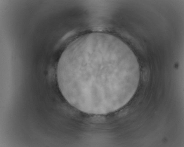 X0000094211446200711241649