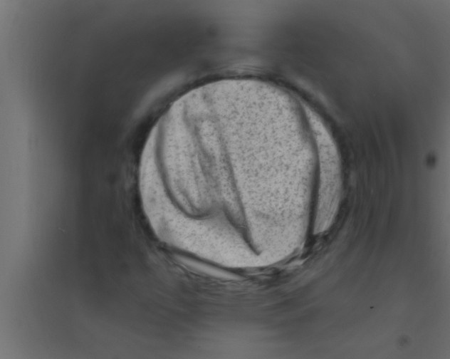 X0000094211447200711241649