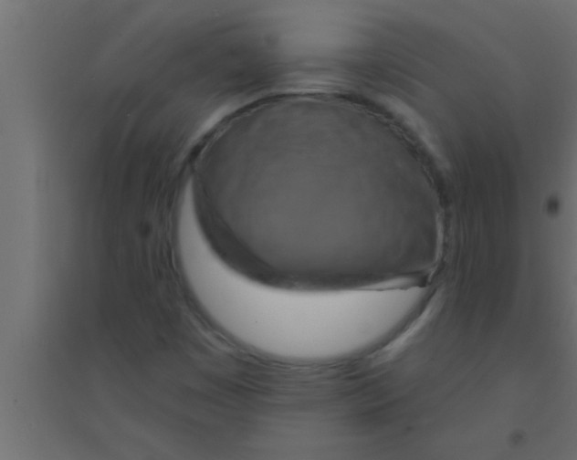 X0000094211449200711241649