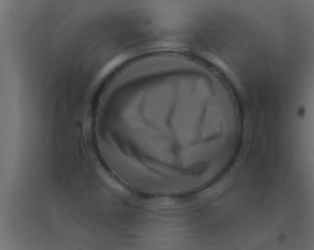 X0000094211450200711241649