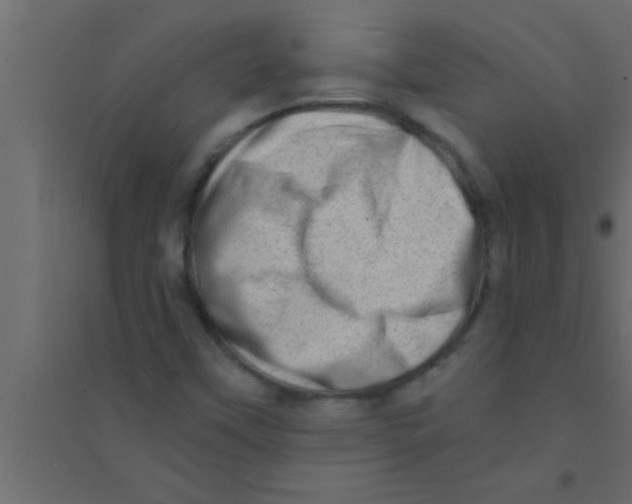 X0000094211451200711241649