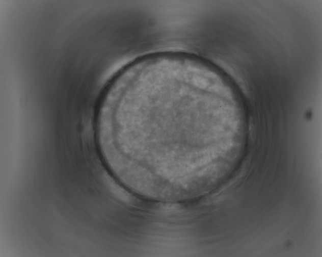 X0000094211452200711241649