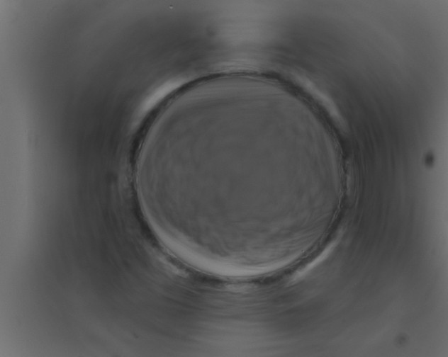 X0000094211453200711241649