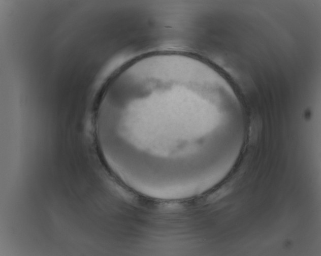 X0000094211454200711241649
