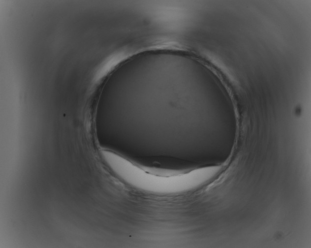 X0000094211455200711241649