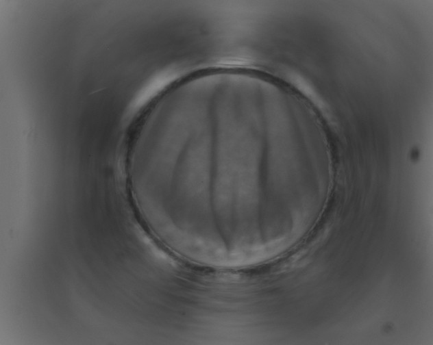 X0000094211456200711241649
