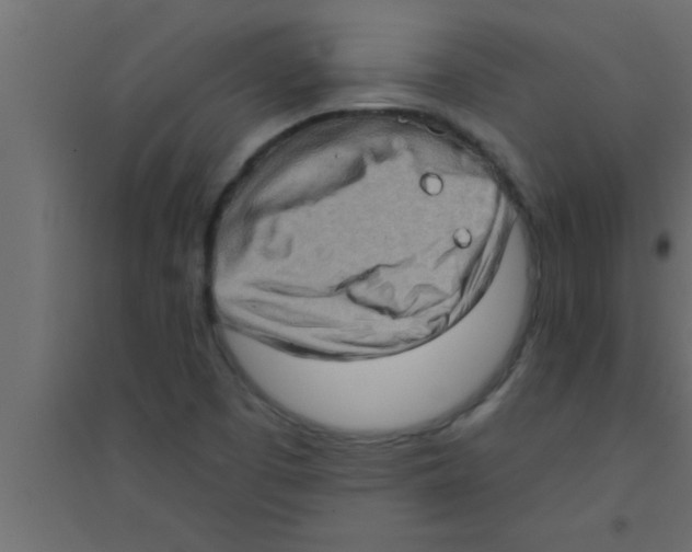 X0000094211457200711241649
