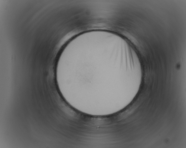 X0000094211458200711241649