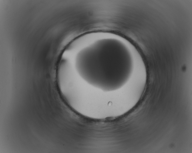 X0000094211459200711241649
