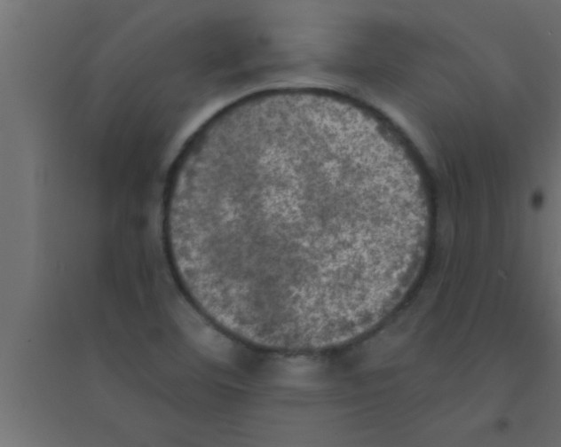 X0000094211460200711241649