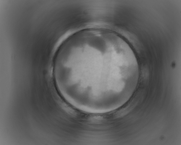 X0000094211462200711241649